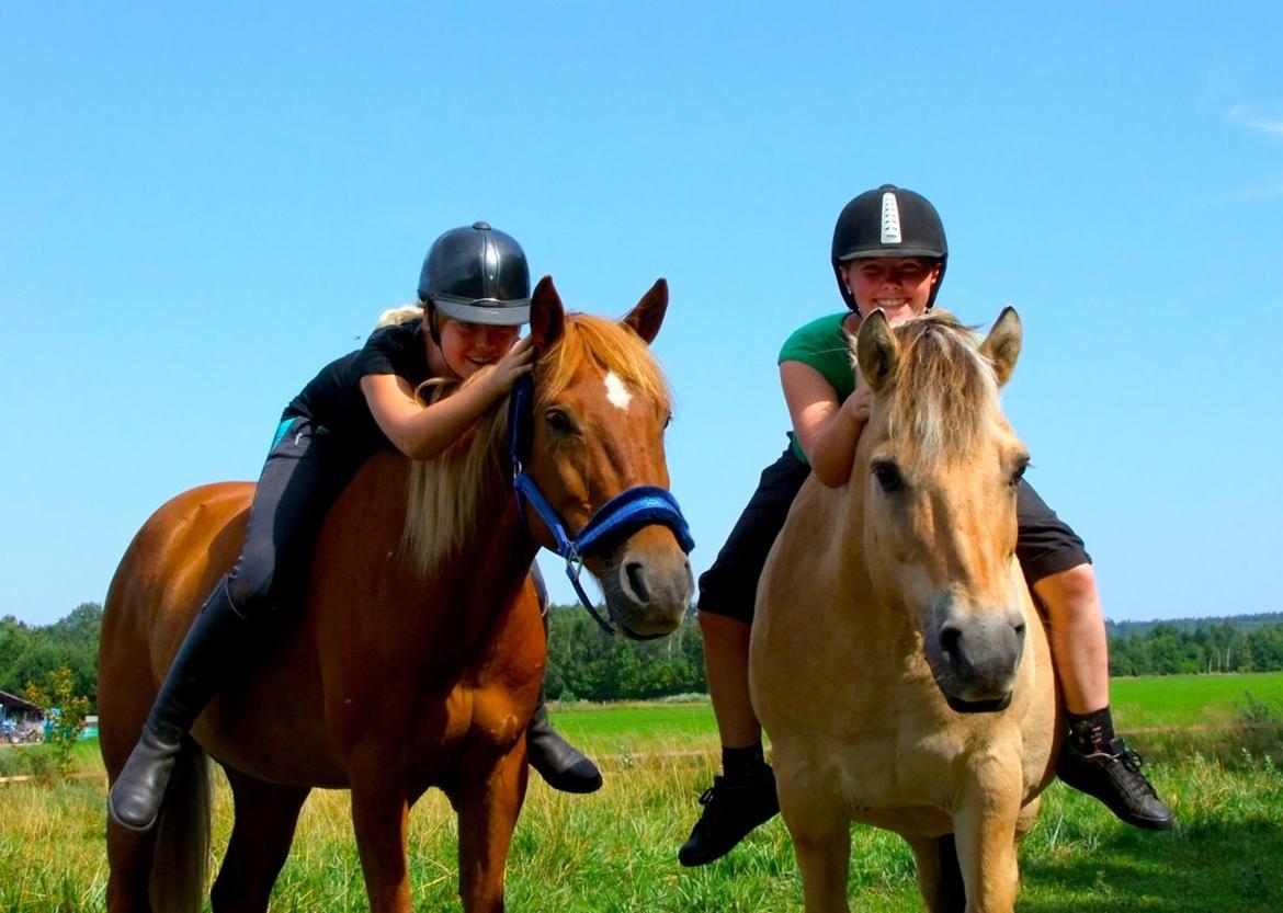 Anden særlig race LIMO - Fra anden undervisning ~ Sommeren 2014 ~ Taget af F&F - Be the change billede 2