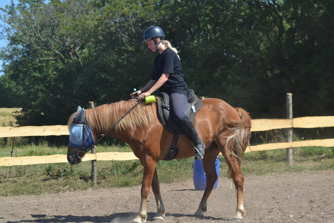 Anden særlig race LIMO - Første gang vi prøver ponygames ~ Ridelejr ved Stald fjordlænder ~ Sommeren 2014 ~ Taget af Anne Mette eller Camilla tror jeg billede 10