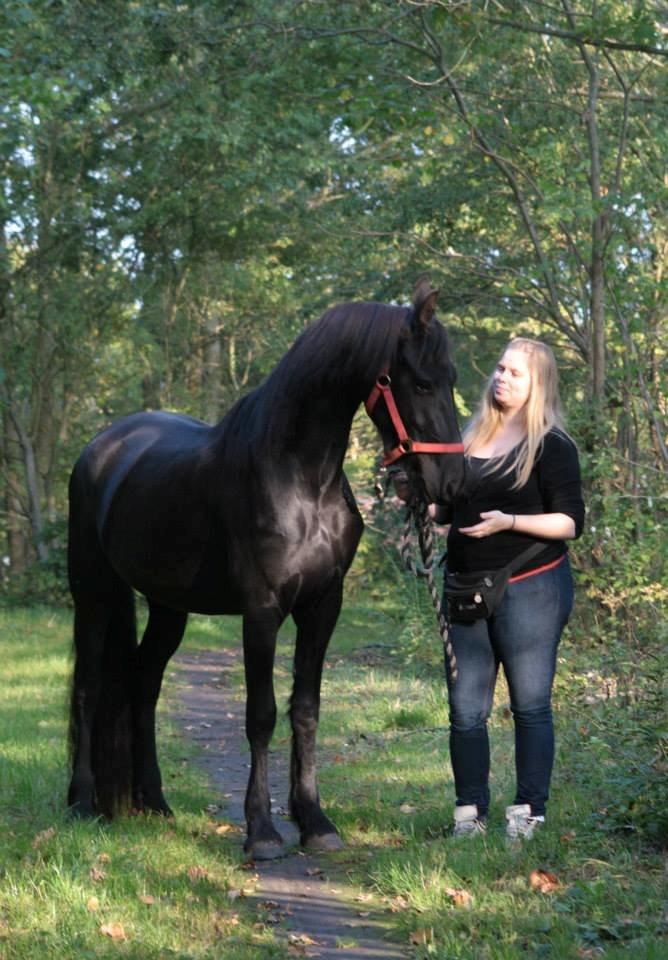 Frieser Jackie af Birkely - D. 3.10.2014 Fotograf: Krikken billede 13