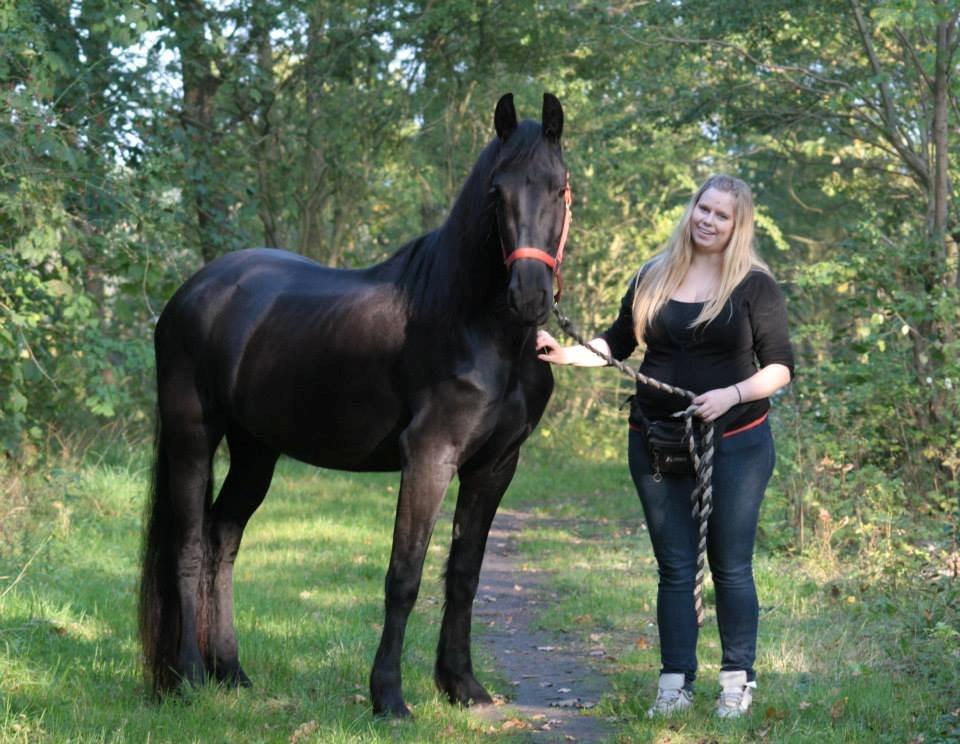 Frieser Jackie af Birkely - D. 3.10.2014 Fotograf: Krikken billede 16