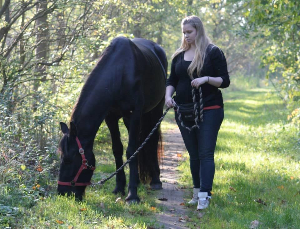 Frieser Jackie af Birkely - D. 3.10.2014 Fotograf: Krikken billede 17