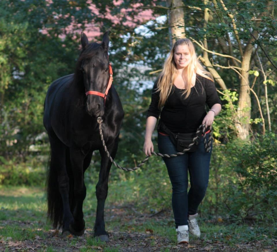 Frieser Jackie af Birkely - D. 3.10.2014 Fotograf: Krikken billede 15