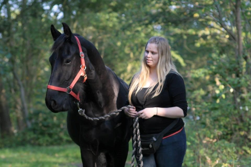 Frieser Jackie af Birkely - D. 3.10.2014 Fotograf: Krikken billede 5