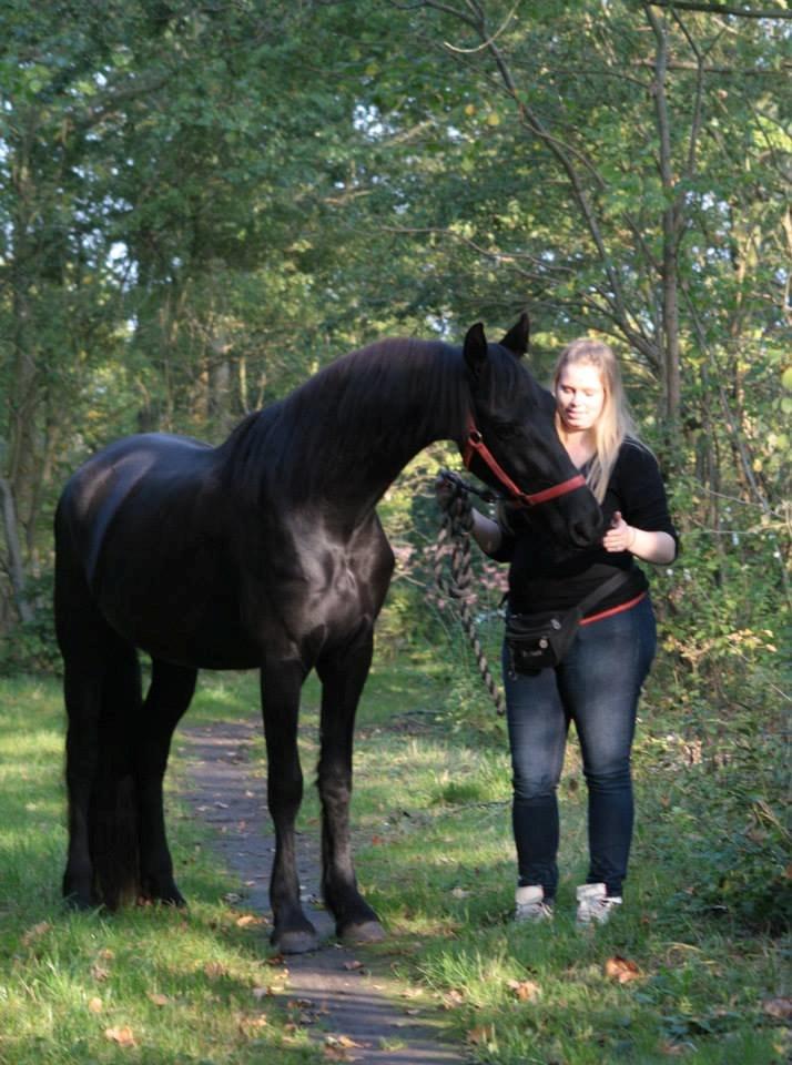 Frieser Jackie af Birkely - D. 3.10.2014 Fotograf: Krikken billede 22