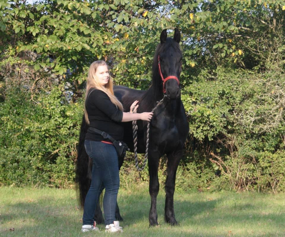 Frieser Jackie af Birkely - D. 3.10.2014 Fotograf: Krikken billede 25