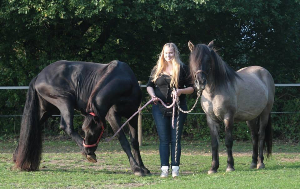 Frieser Jackie af Birkely - D. 3.10.2014 Fotograf: Krikken billede 19