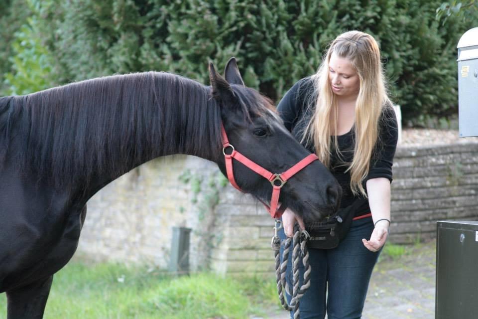Frieser Jackie af Birkely - D. 3.10.2014 Fotograf: Krikken billede 4