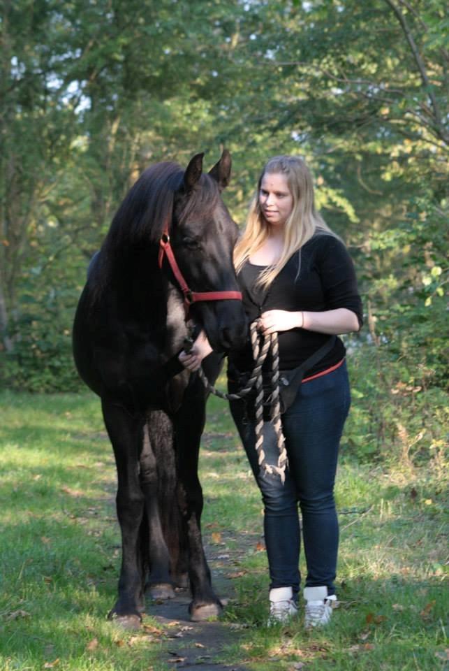 Frieser Jackie af Birkely - D. 3.10.2014 Fotograf: Krikken billede 21