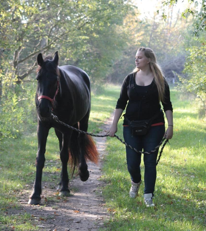 Frieser Jackie af Birkely - D. 3.10.2014 Fotograf: Krikken billede 7