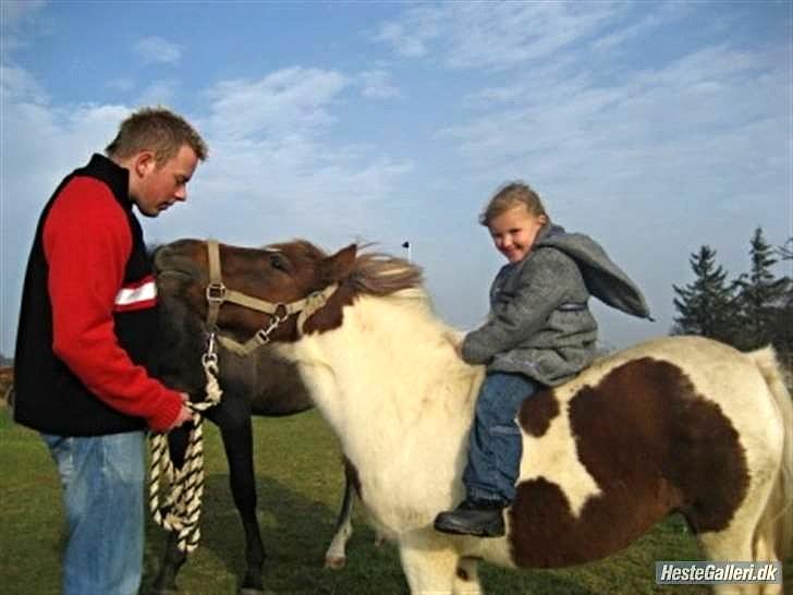 Anden særlig race Pony Margrethe enhjørningen solgt - Foto: Mor billede 10