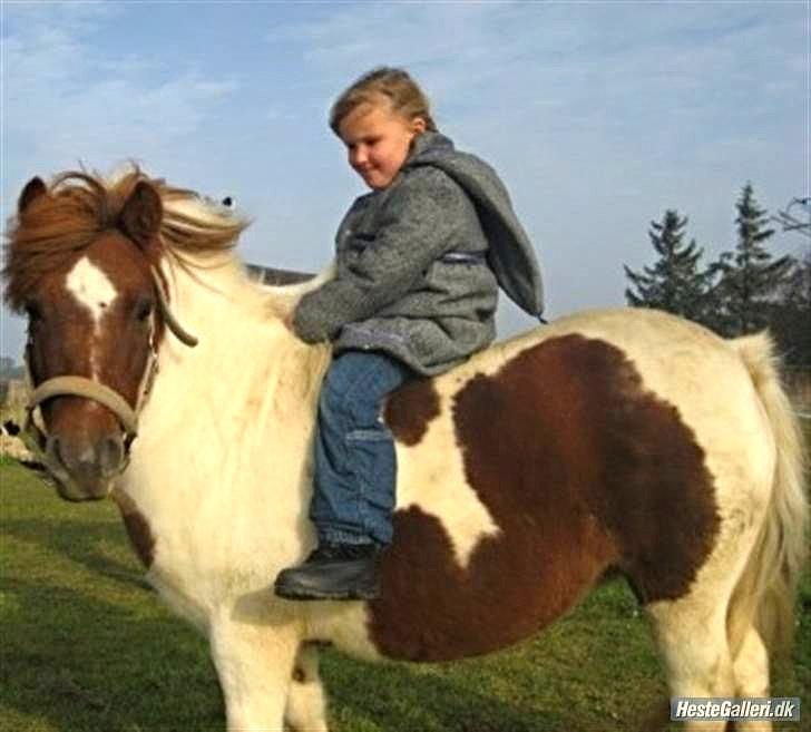 Anden særlig race Pony Margrethe enhjørningen solgt - Foto: Mor billede 9