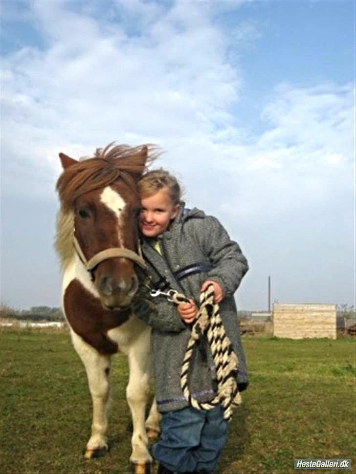 Anden særlig race Pony Margrethe enhjørningen solgt - Pony Margrethe og jeg<3

foto mor billede 6