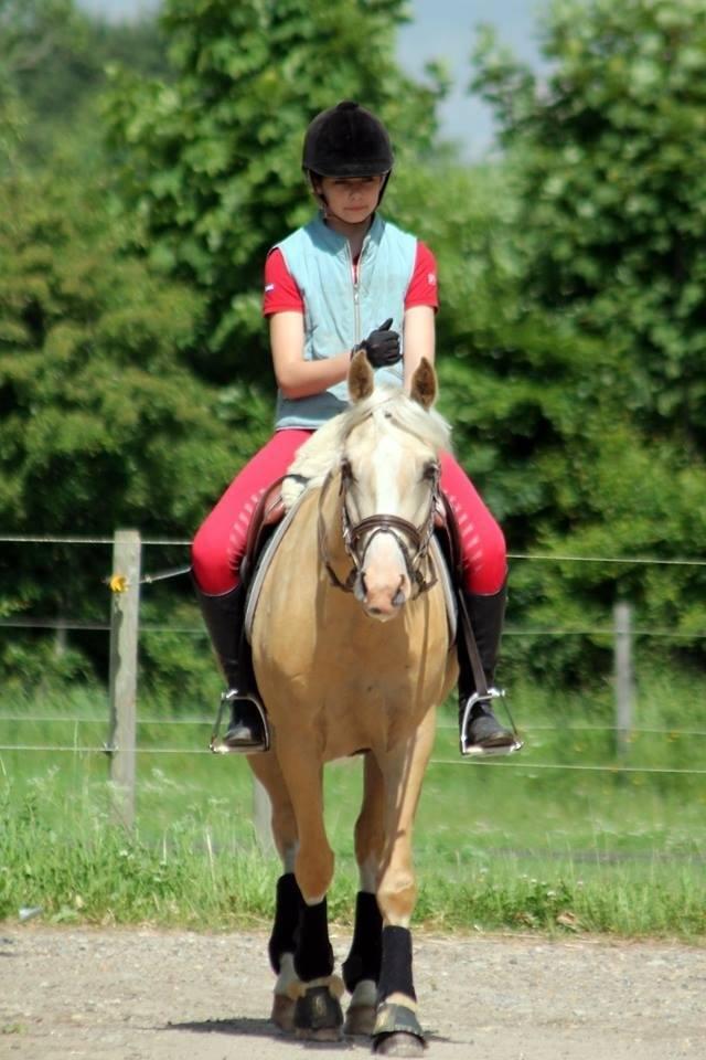 DSP Horsebjergs Dusty Moon - Vi skridter af :-) billede 5