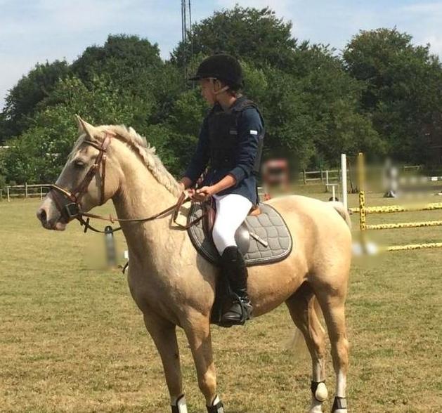 DSP Horsebjergs Dusty Moon - Til Præmieoverrakelse. billede 6