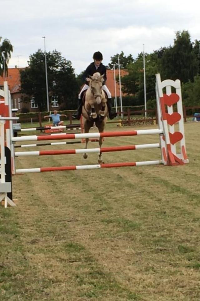 DSP Horsebjergs Dusty Moon - Første stævne - LB** billede 8