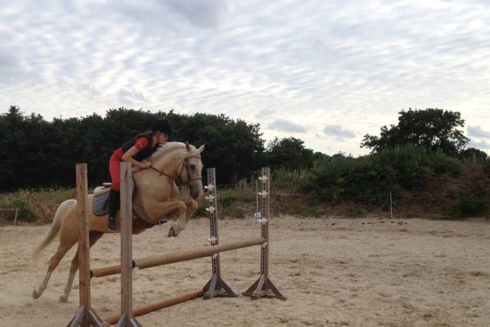 DSP Horsebjergs Dusty Moon - Første gang vi sprang. :-) billede 11