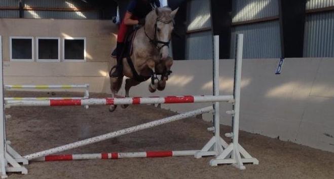 DSP Horsebjergs Dusty Moon - Springtræning :-) billede 12