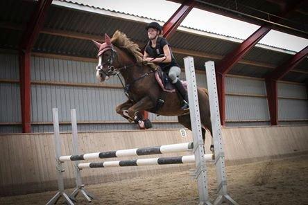 New Forest Kærgaardens Mynte - 100cm billede 17