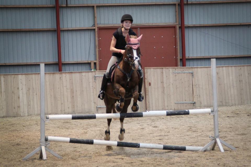 New Forest Kærgaardens Mynte billede 15