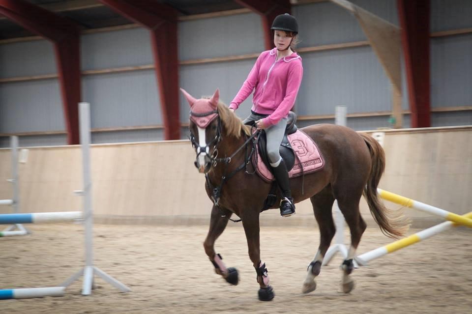 New Forest Kærgaardens Mynte billede 18