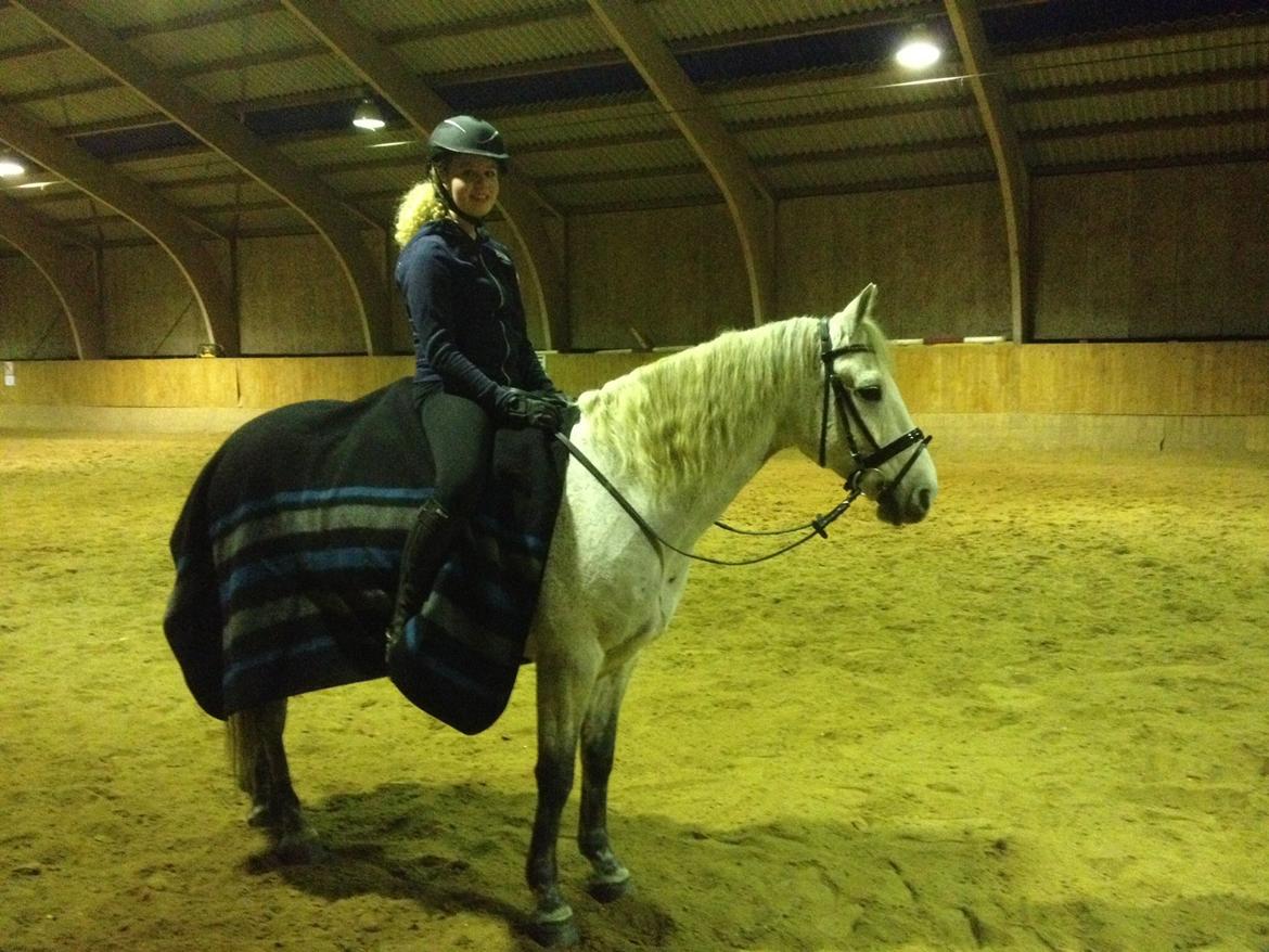 Anden særlig race Charlie billede 44