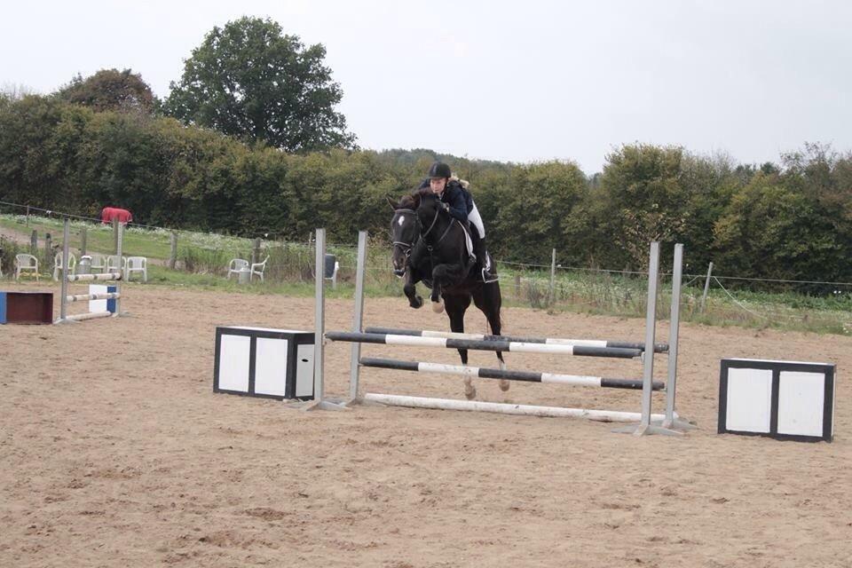 Oldenborg Nørrelunds Casiopaya (Tidligere part) billede 1