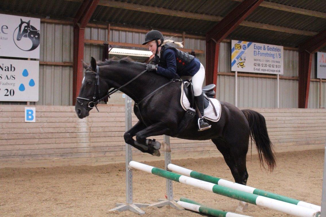 Oldenborg Nørrelunds Casiopaya (Tidligere part) billede 4