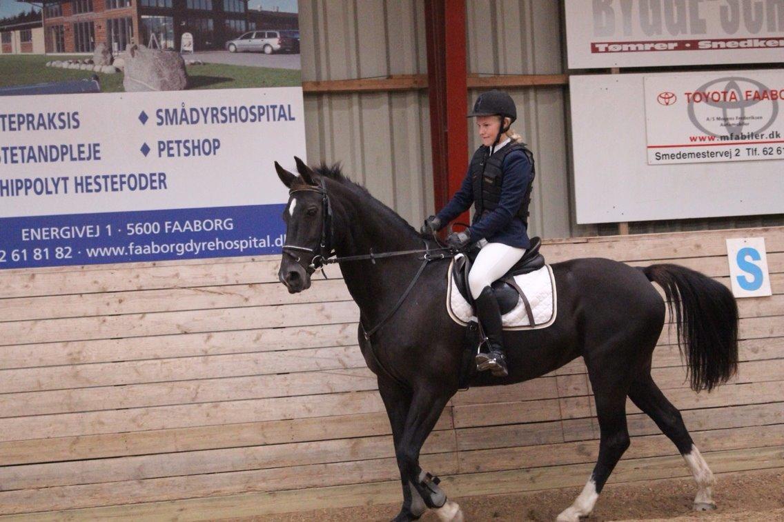 Oldenborg Nørrelunds Casiopaya (Tidligere part) billede 5