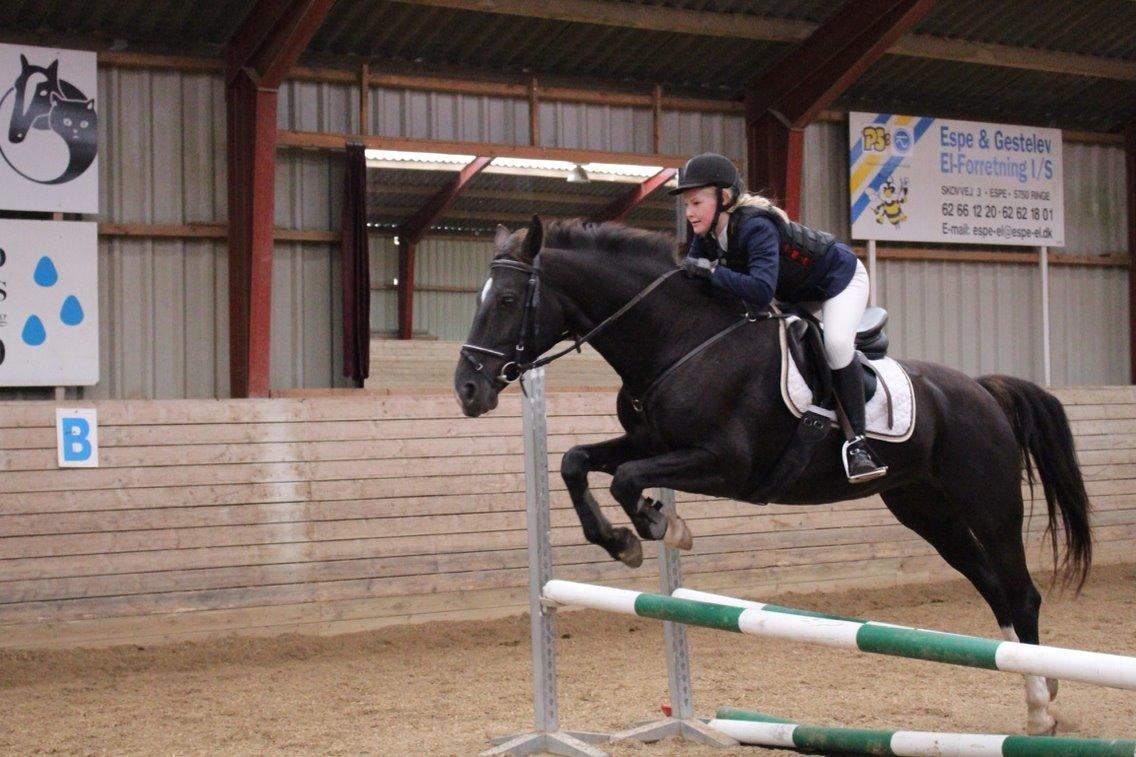 Oldenborg Nørrelunds Casiopaya (Tidligere part) billede 13