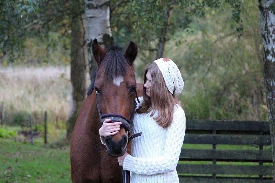 Anden særlig race Kildegårdens Socky - 14 ❤ Tell me I can't be done, and I'll do it. Tell me the goal is too high, and I'll reach it. Challenge me, dare me or even defy me. But do not underestimate me. Cause when I'm with my horse, ANYTHING is possible :') - 28/9 2014 billede 14