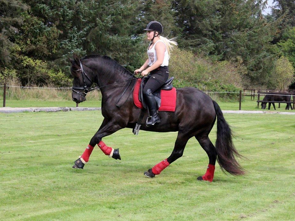 Frieser Ilja Varla J. - August 2014. billede 8