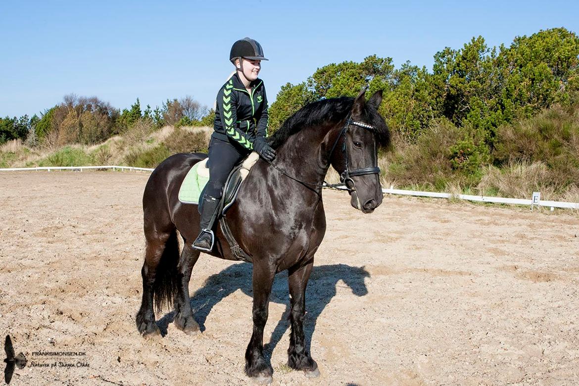 Frieser Ilja Varla J. billede 1