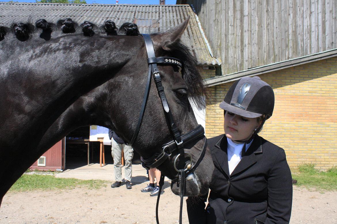 Frieser Ilja Varla J. - Til stævne i Bjergby i maj måned 2014. billede 4
