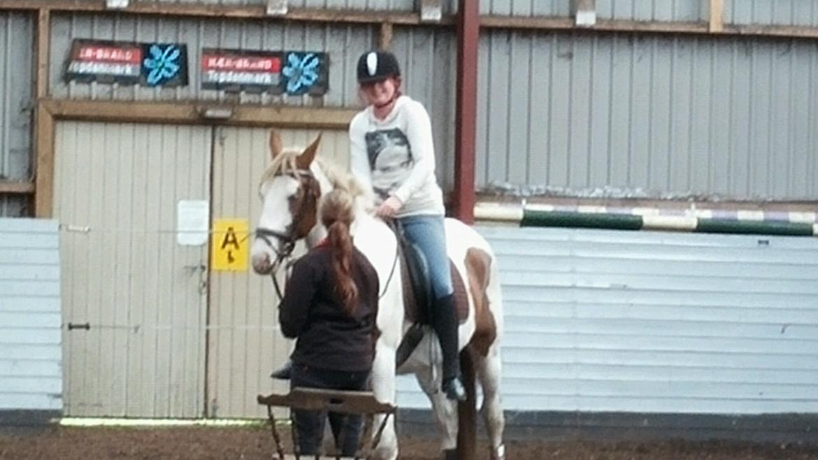 Pinto Aston A Kila billede 41