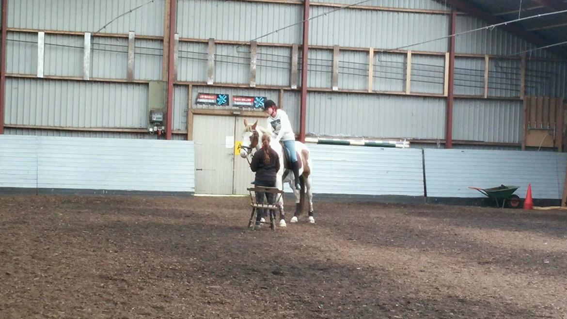 Pinto Aston A Kila billede 42