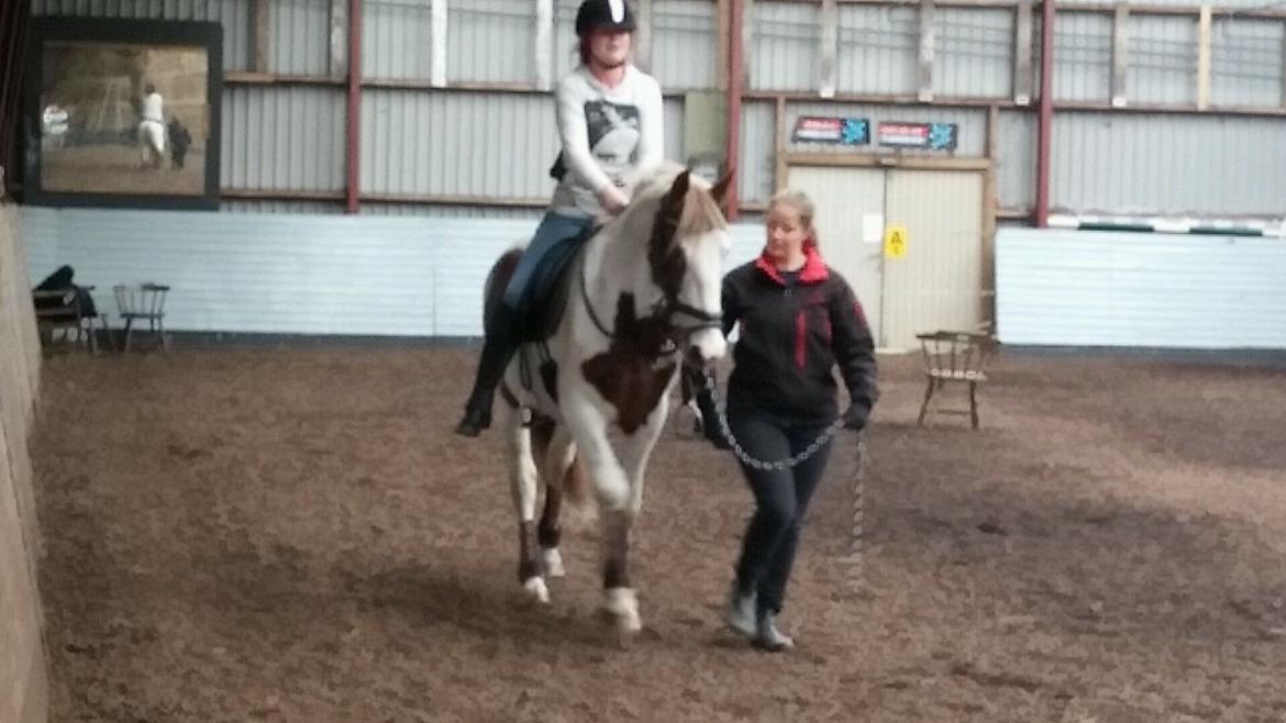 Pinto Aston A Kila billede 44