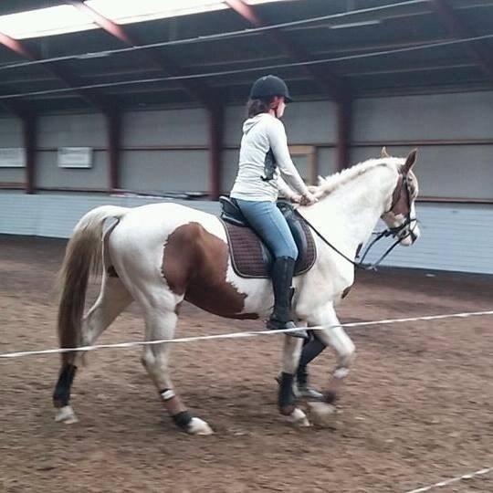 Pinto Aston A Kila billede 43