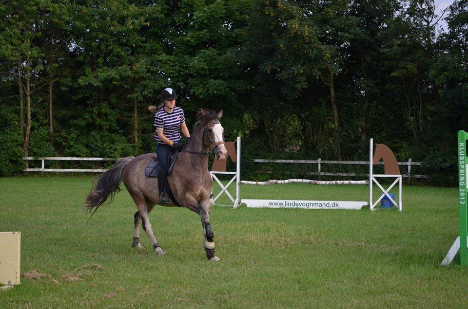 Holstener Anton billede 2