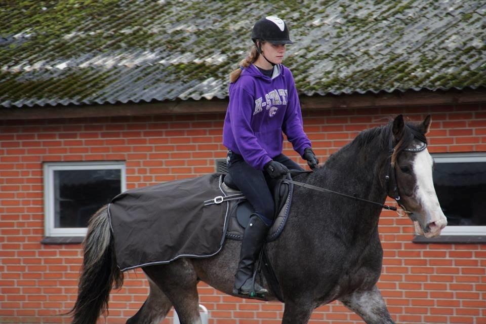 Holstener Anton billede 3