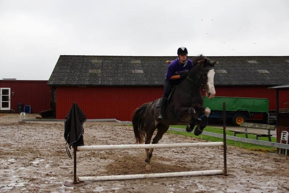 Holstener Anton billede 5