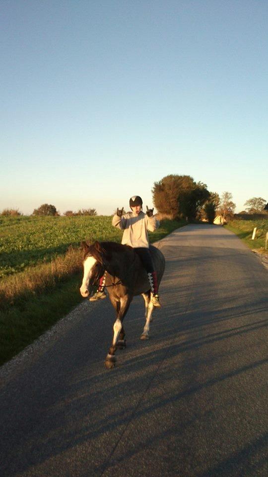 Holstener Anton billede 13