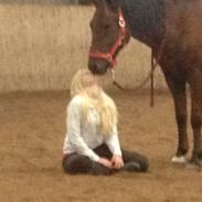 Anden særlig race Pronto (Tidl. Part. R.I.P)