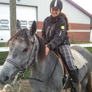 Anden særlig race Azizi