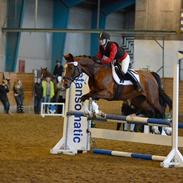 Anden særlig race Wubbi [SOLGT] 