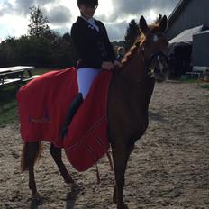 Anden særlig race Lundgaard's Tullamore