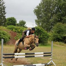 Anden særlig race Daisy (Østerlund's Rumkugle)