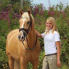 Palomino Stargolds Lopez himmelhest 
