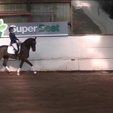 Holstener Enghøjs Pia