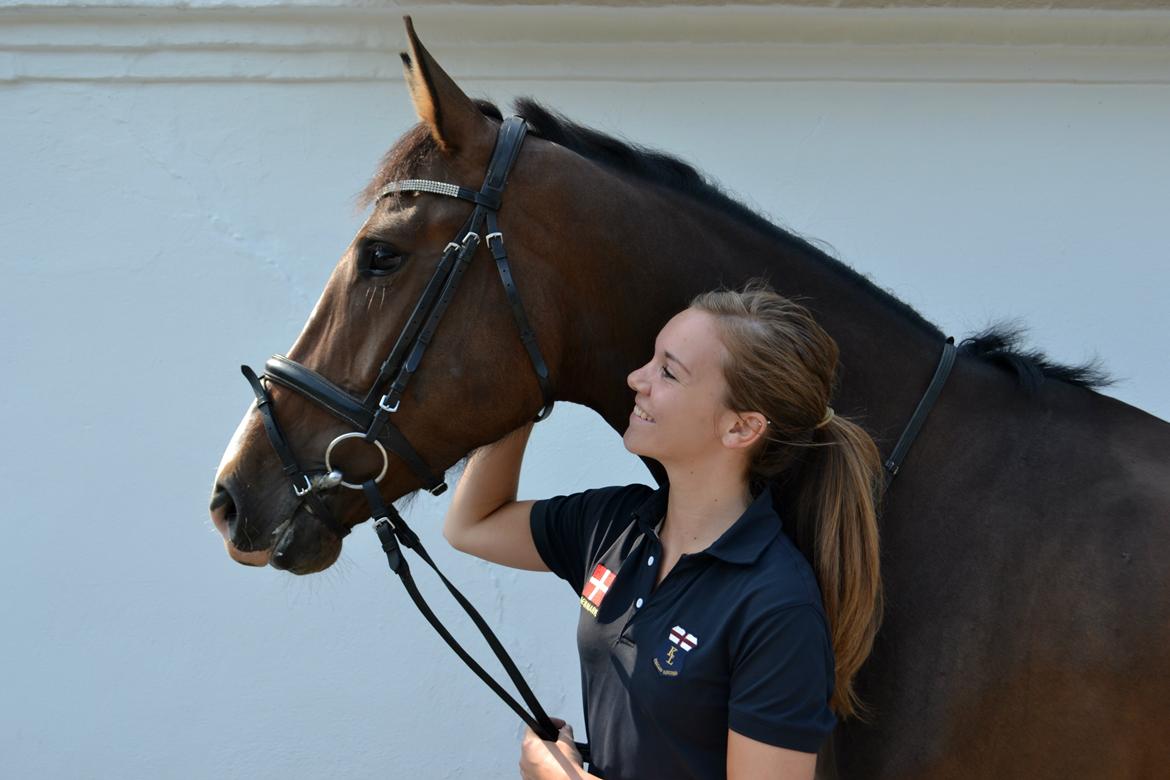 Dansk Varmblod Landlystes Isabella billede 22