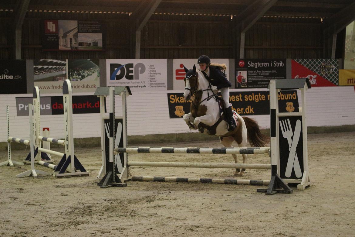 Tysk Sportspony Schirin 2(Sisse) - Første c-stævne FSRK(LC). billede 19